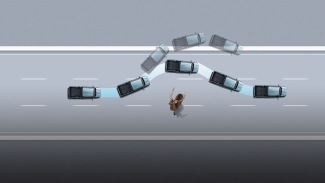 好开、好用、好省心 新年开工首选2026款金刚炮