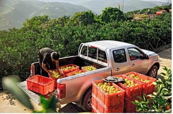 铲车开道,风骏护航:草原父母的爱有多硬核?