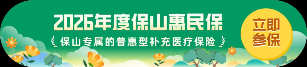 正式上线!2026年“保山惠民保”参保通道已全面开启!