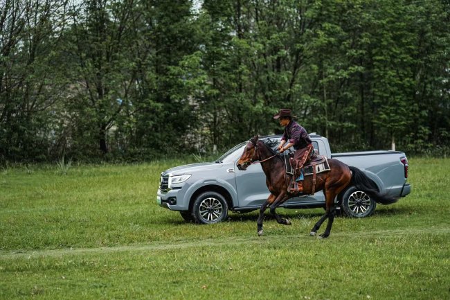 能自动切换油电混动车选什么品牌2026 热门智能混动车型推荐清单